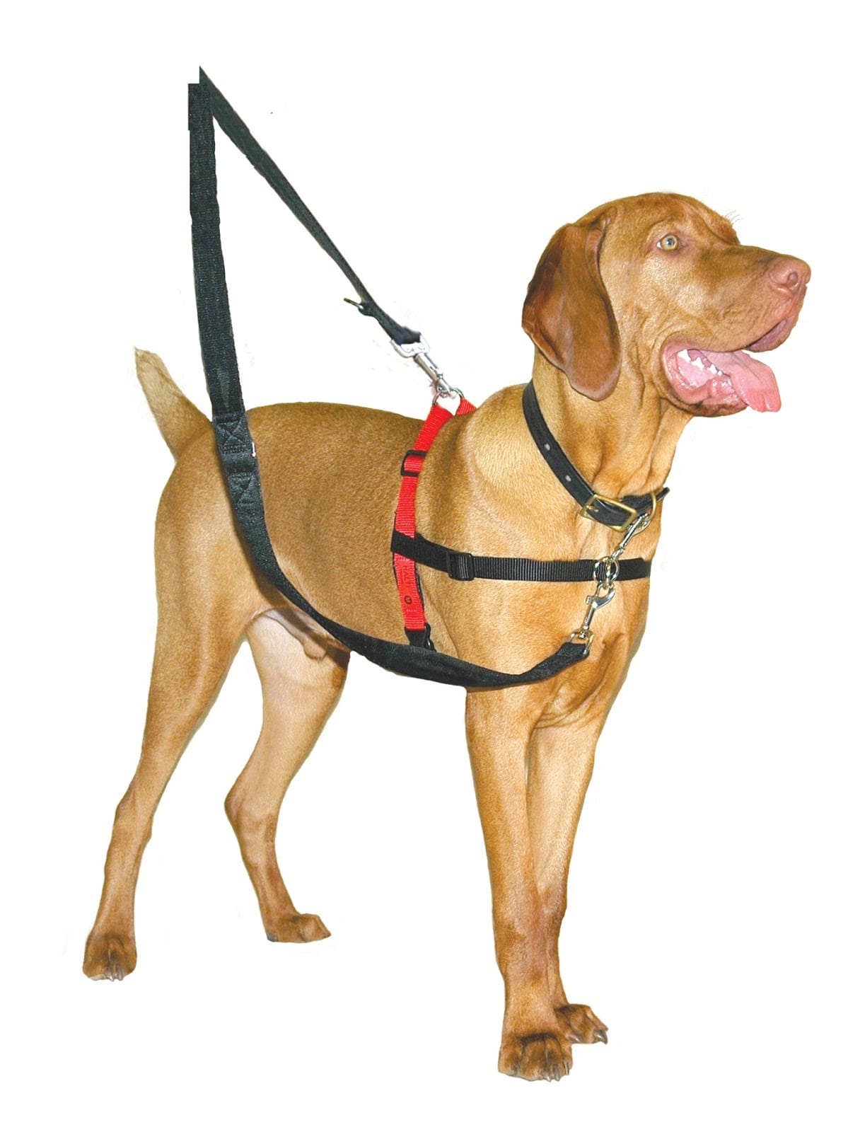 company-of-animals-halti-dog-harness-black-red-553v | Positive Way Animals